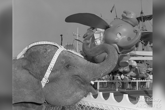 Disney Land